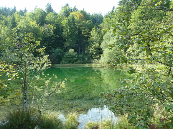 Listsee