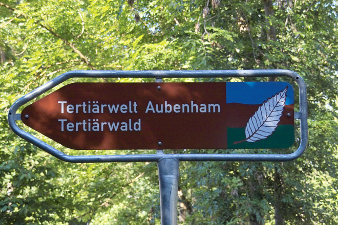 Wegweiser zur Tertiärwelt und dem Tertiärwald