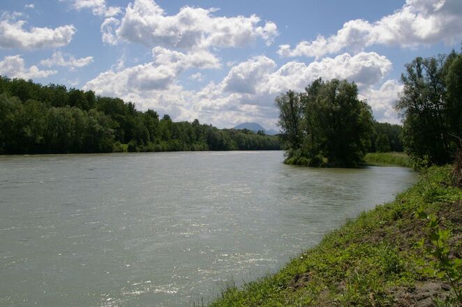 Mündung Sur in die Salzach