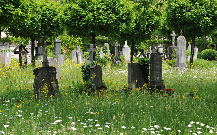 Der alte Friedhof Laufen