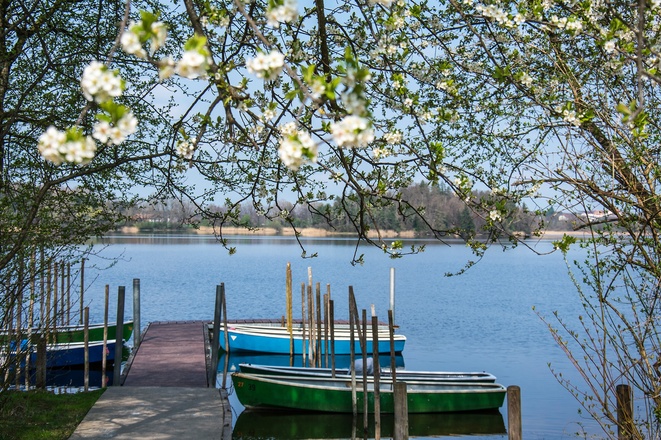 Frühling am Abtsdorfer See