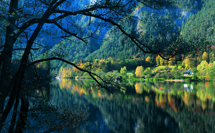 Thumsee