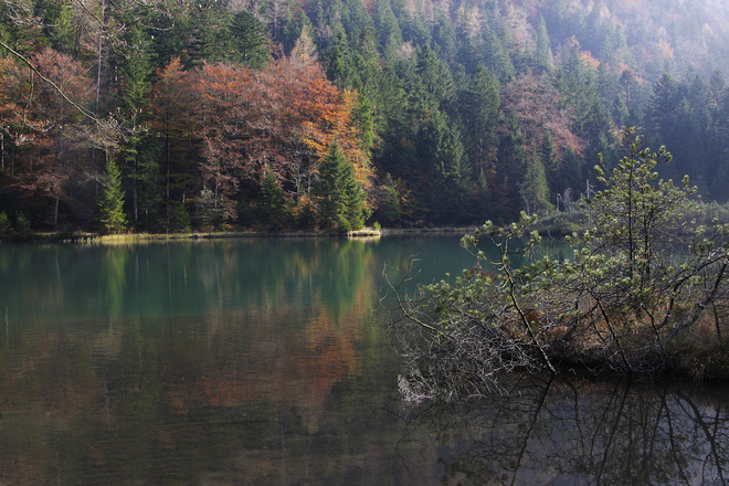 Farbenspiel am Falkensee
