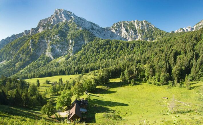 Die Stzeiner Alm am Hochstaufen