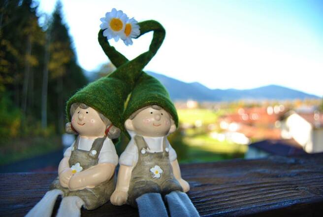 Frida &amp; Fredi genießen den Ausblick