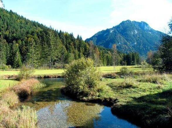 Ammerquellen - Weidmoos