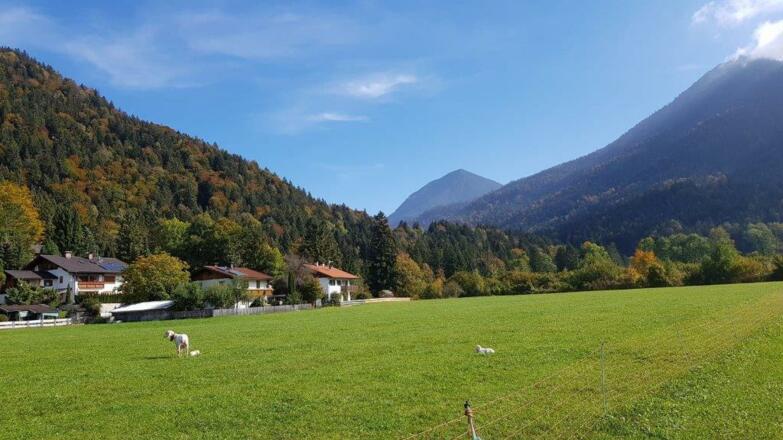 Blick zum Simetsberg