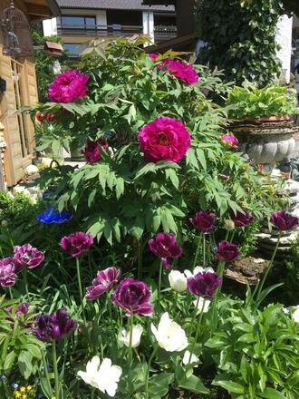 814C0C3F-00EE-47FD-BA71-A09E4BF5CFDA