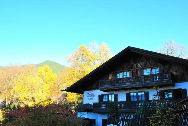 Hausansicht von hinten