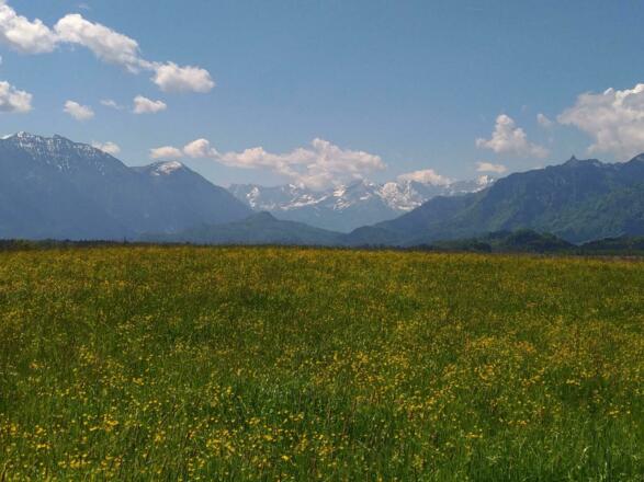 Alpen-Land-Eschenlohe