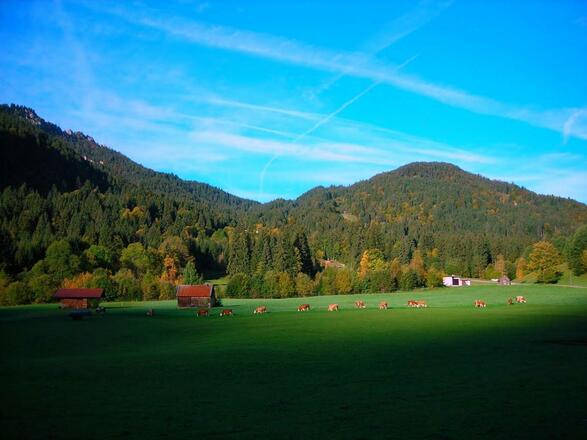 Herbststimmung