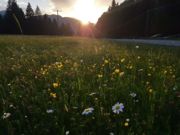 Sonnenuntergang am Dorschat