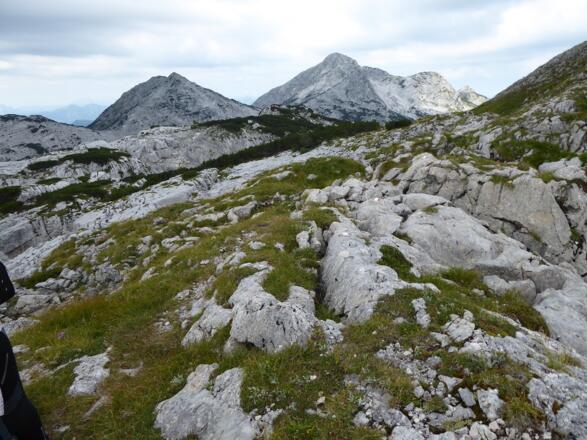 Aussicht vom Karstplateau