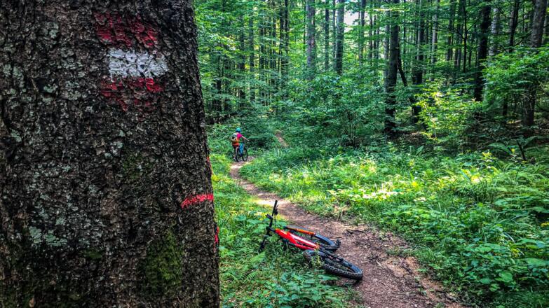 Trailverbindung zu den Gamsöfen