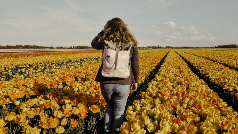 Weninger Rollrucksack_1