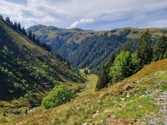 Blick Richtung Muttjöchle