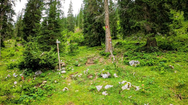 Umkehrplatz Saugrube Startpunkt Wanderung zur Goisererhütte