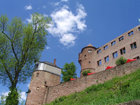Burg Wertheim