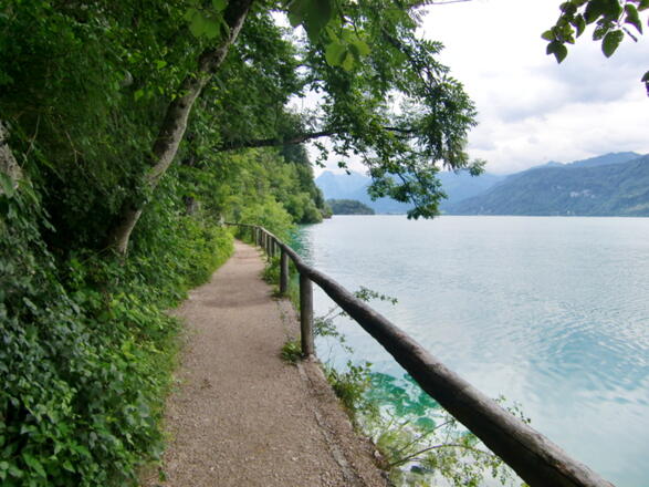 Weg von Fürberg in Richtung Falkenstein