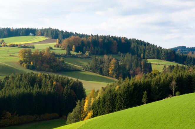 Blick zum Kammerer Kreuz