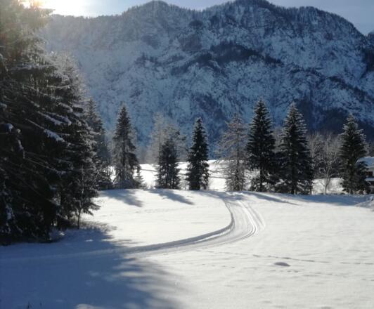 Verbindungsloipe Ramsau nach Reitern in Bad Goisern am Hallstättersee
