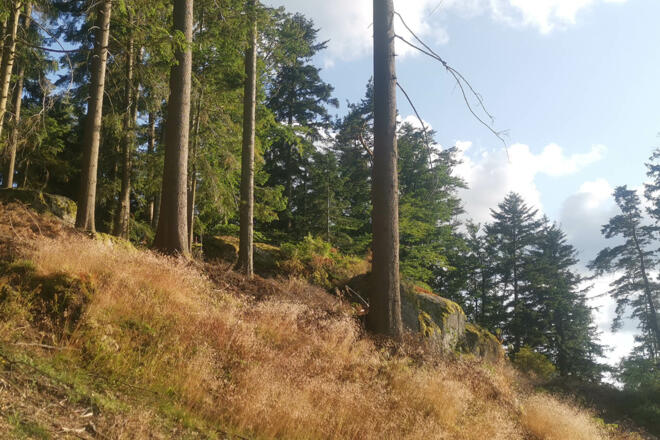 Obergrabenweg Rifflberg