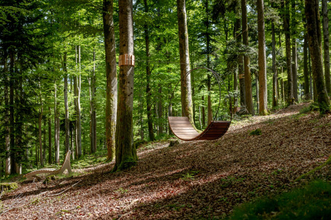 Baumschaukel im WaldSpa Reischlhof