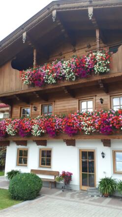 Sommer