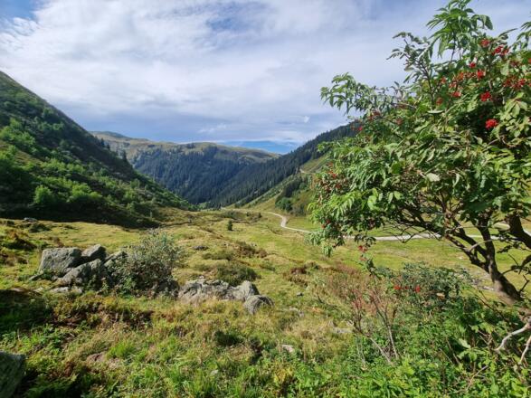 Ausblick von der Oberen Wasserstuben Alpe