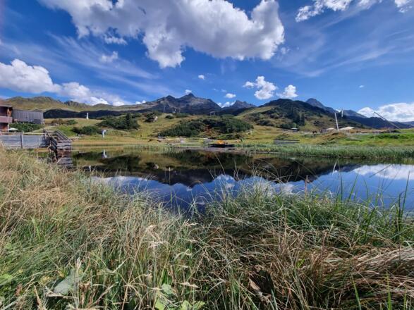Vorbei am Bärenland am Sonnenkopf