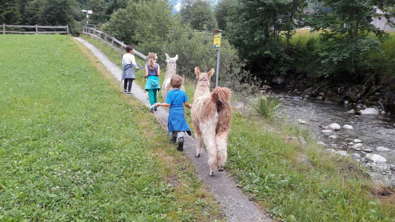 Lamawanderung durch Gaschurn