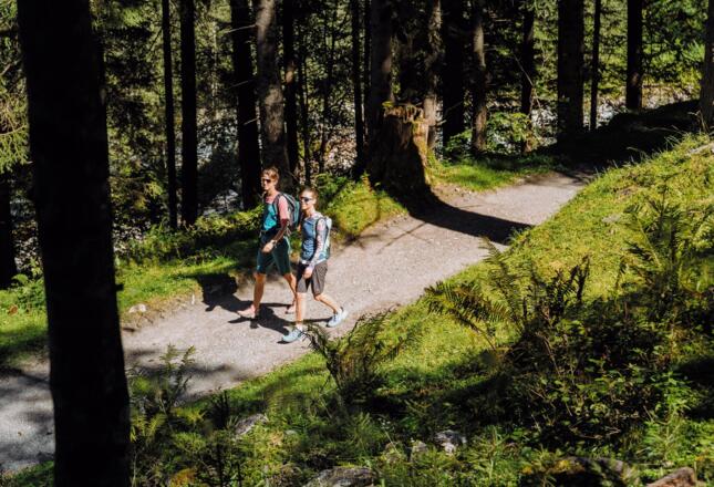 1544_TVB-N_2022_190_lo