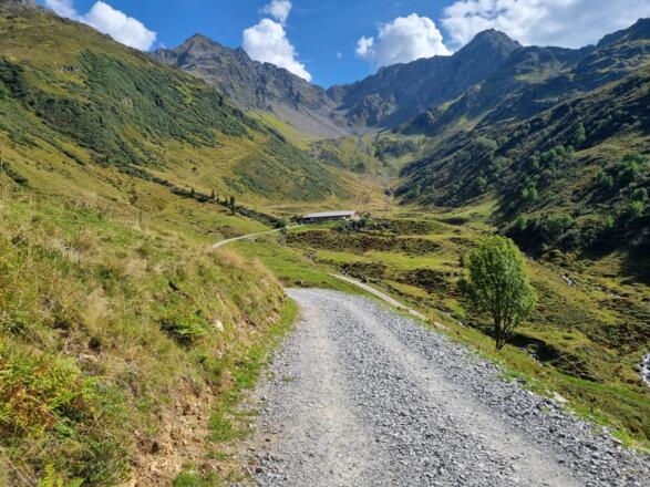 Auf dem Wanderweg kurz vor der Wasserstuben Alpe