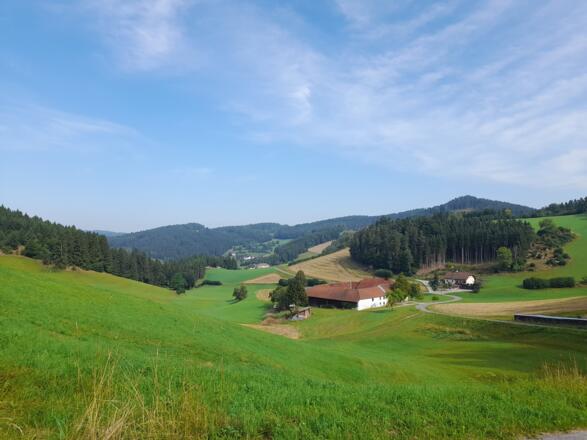 Blick in die Mühlviertler Hügelwelt