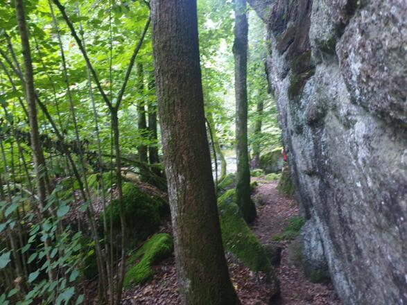 Wasserfelsen