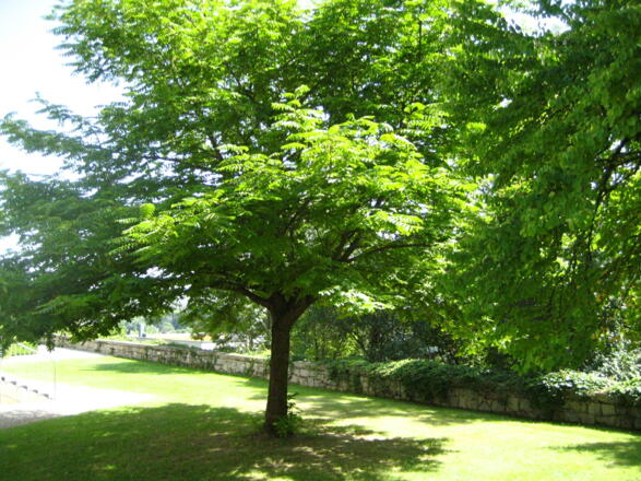 Schlosspark