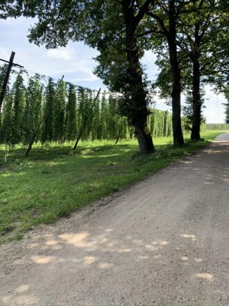 Klöster-Kirchen-Schmankerl Nord - Hallertauer Lehrpfad (1).JPEG