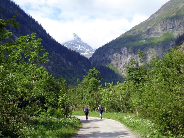 Unterwegs auf der alten Talstraße mit Blick Richtung Herzog-Ernst-Spitze.