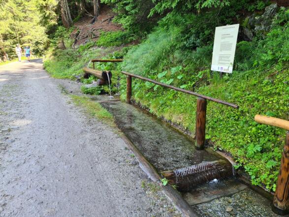 Siebenbrünnele. Vor der Wasseranlage geht es links den Hangwald hinab.