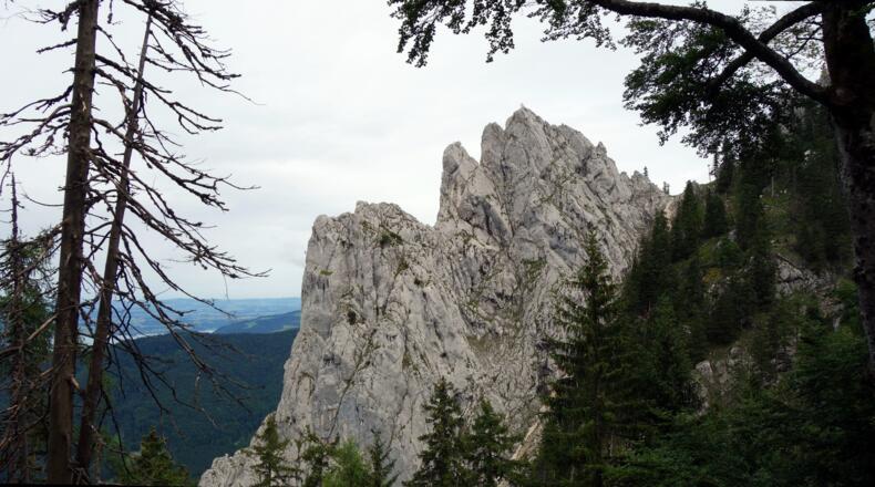 Adlerspitz Hauptgipfel mit Kreuz, seitlich gesehen um ~1100m
