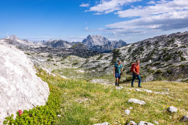 Grüne Insel im Steinernen Meer mit Watzmannblick.