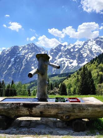 Der Trog auf der Alm ist meist auch, wenn sie geschlossen ist, gefüllt