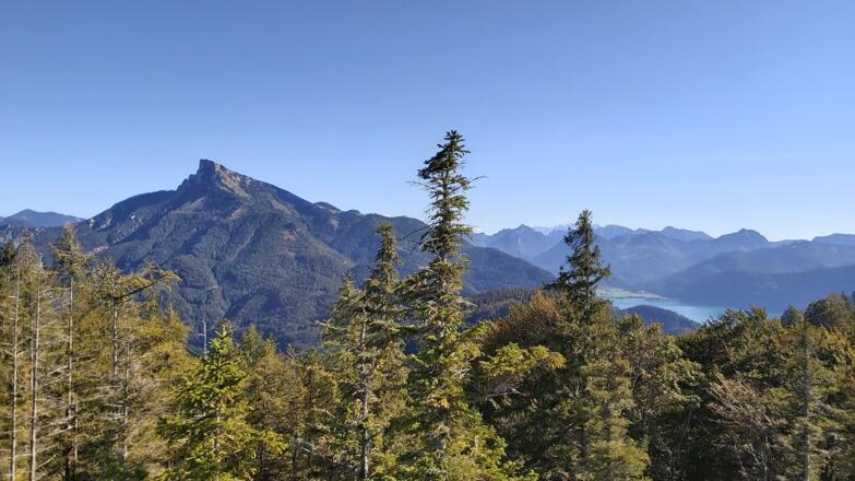 Blick Richtung Schafberg