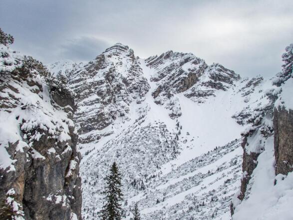 Blick auf die Schöttelkarspitze, kurz bevor wir die Waldgrenze verlassen.