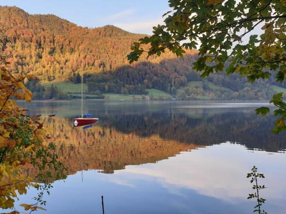 Herbststimmung