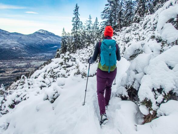 Bei der Querung muss man etwas aufpassen, da die Latschen teilweise im Weg stehen.