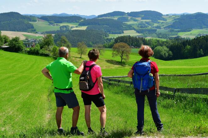 Immer wieder begeistert uns der traumhafte Rundblick