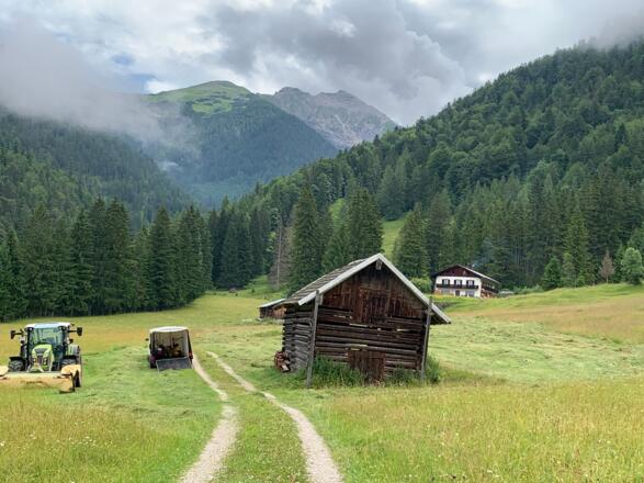 Weg zur Aschauer Alm