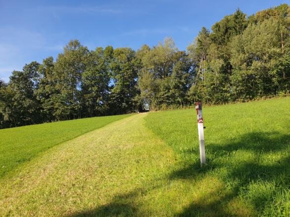 17 Wiesenwanderweg