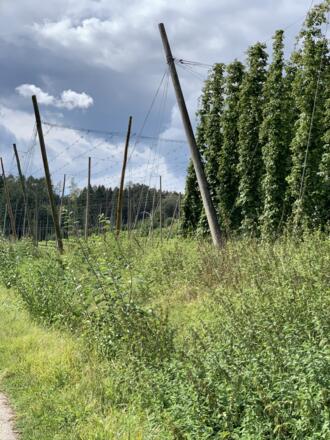 Klöster-Kirchen-Schmankerl Nord - Hochwasserauffangbecken in Rohrbach.JPEG